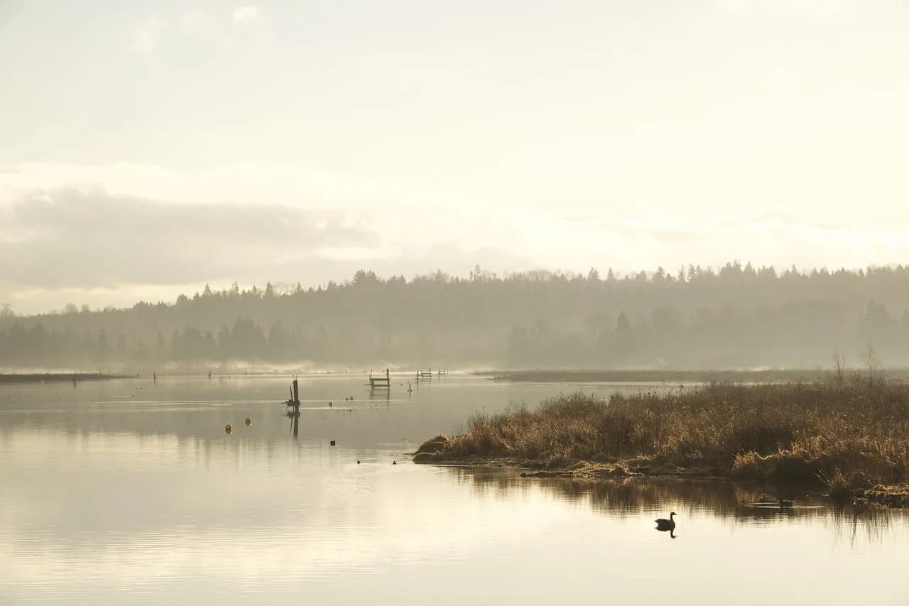 Vue de Burnaby, British Columbia, Canada — vente, location et installation de clôtures par Fenced.ca